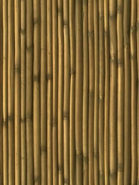 Bamboo Wallpaper